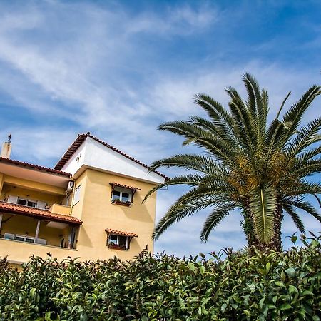 Big Summer House Halkidiki プサコウディア エクステリア 写真